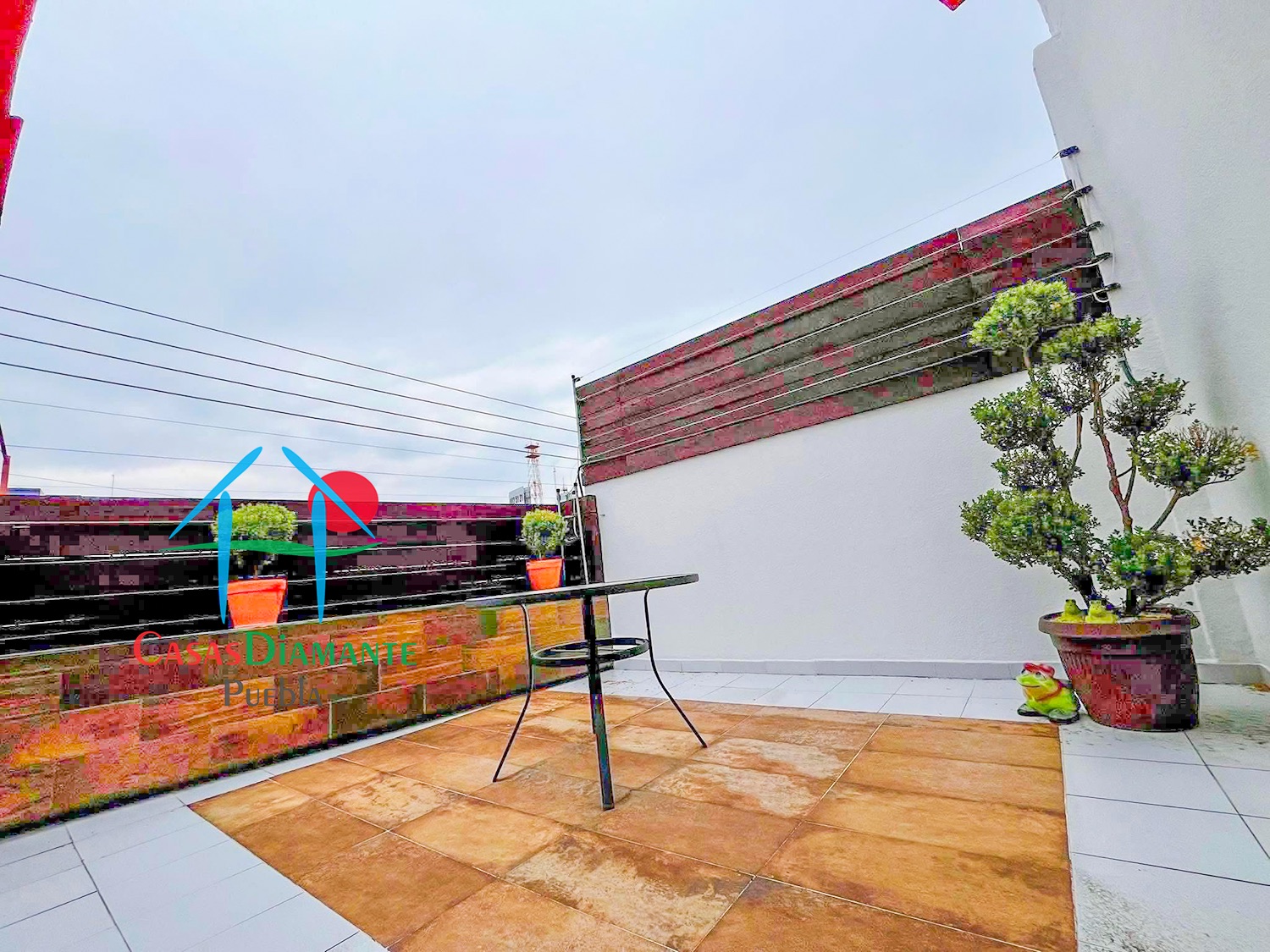 Las Ánimas Casa y Corporativo 360 - Terraza oficinas 1